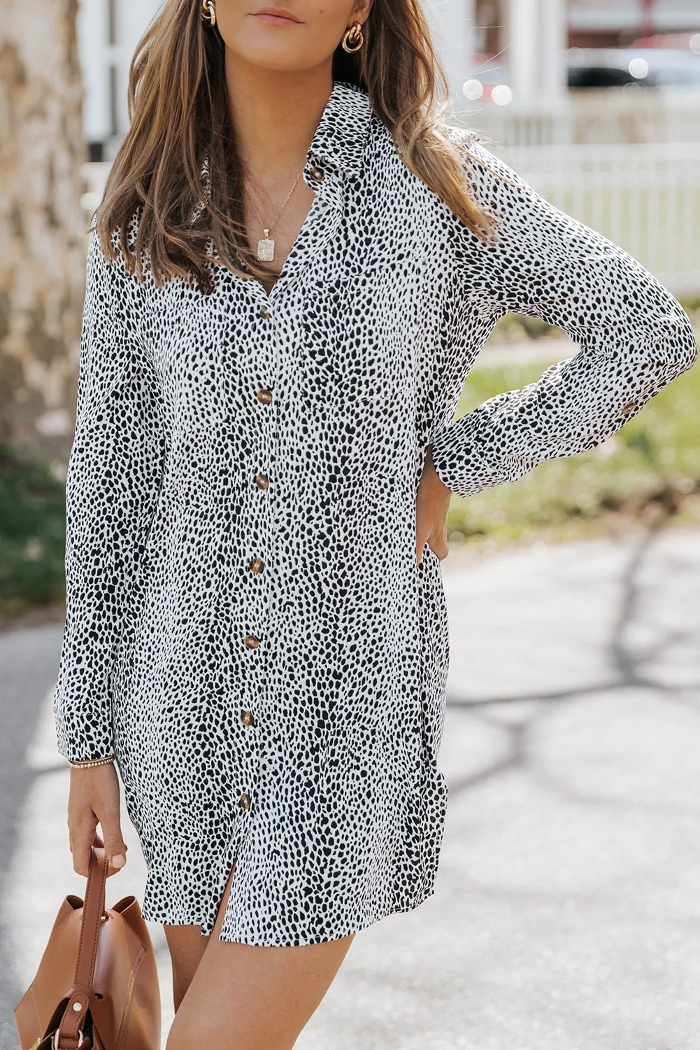 Long Sleeve Animal Print Shirt Dress