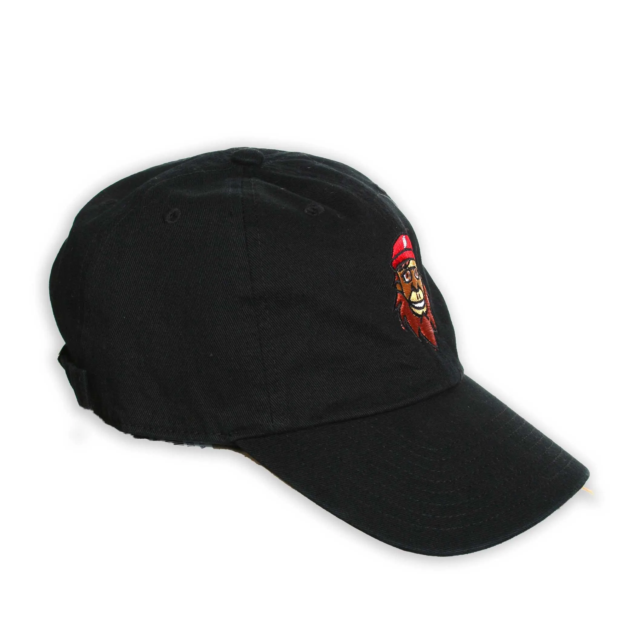 Trail Blazers 47 Brand Douglas Fur Clean Up Cap