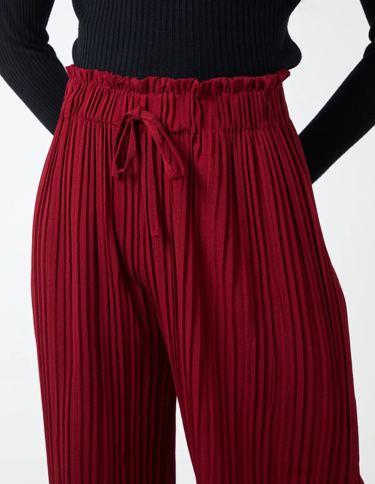 Wide Leg Pleated Trousers